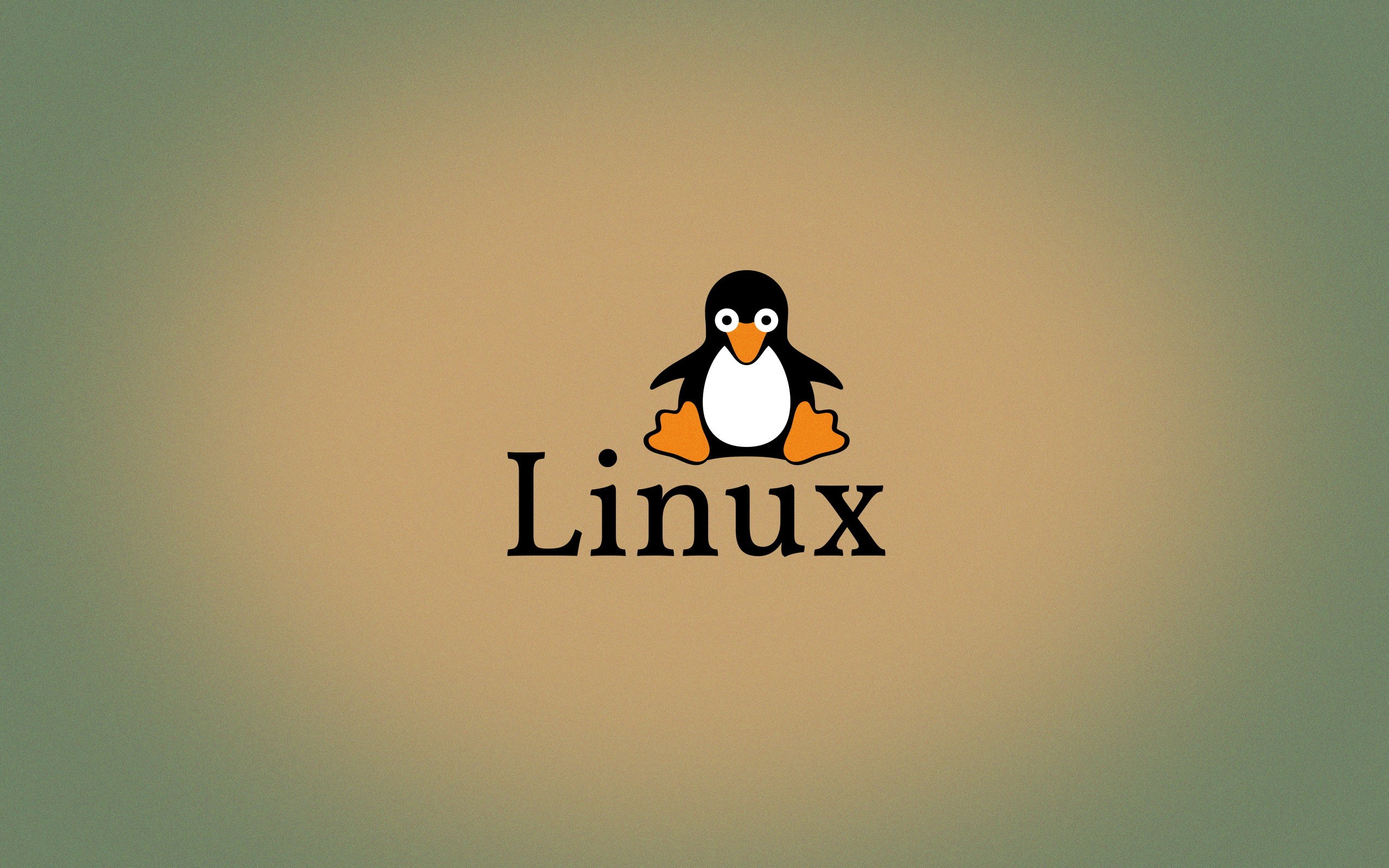 Linux 面试题